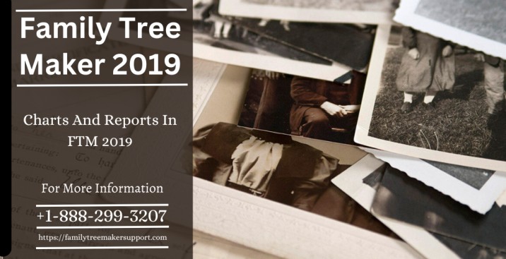 Charts And Reports In Ftm 2019